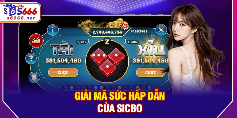 Giải mã sức hấp dẫn của Sicbo